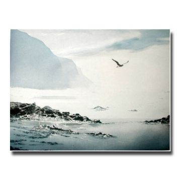Plenitude image 1