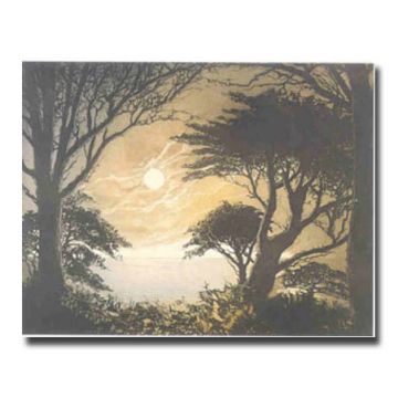 Mediteranee image 1