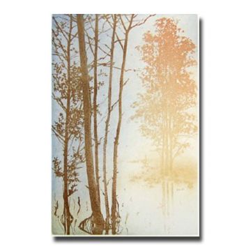 Petit Brouillard image 1