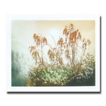 Sologne image 1
